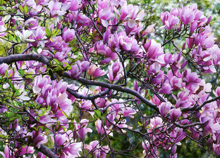 2022 Magnolia Space, detail 2