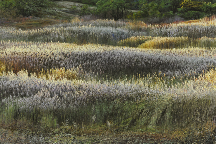 2024 Pamet Marsh Reeds.jpg