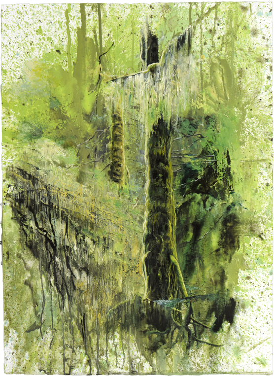 2060 Vancouver Island Rain Forest #1