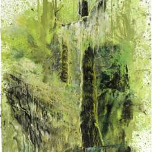 2060 Vancouver Island Rain Forest #1