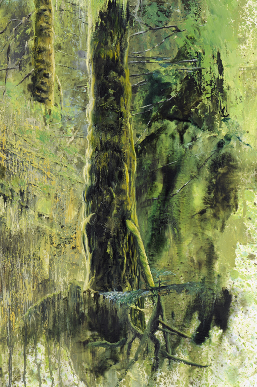 2060 Vancouver Island Rain Forest #1, detail
