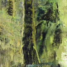 2060 Vancouver Island Rain Forest #1, detail