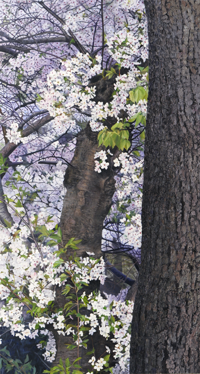 2061 Bark and Blossoms