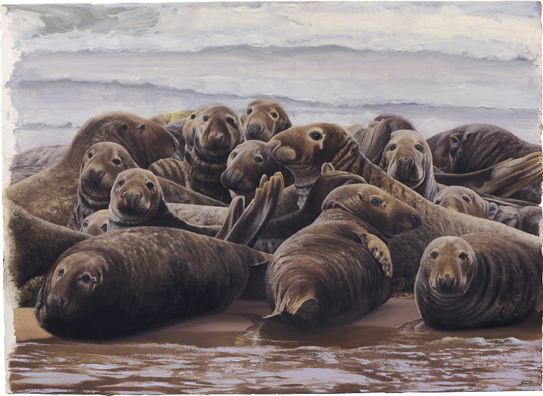 2066 Head of the Meadow Haul-Out