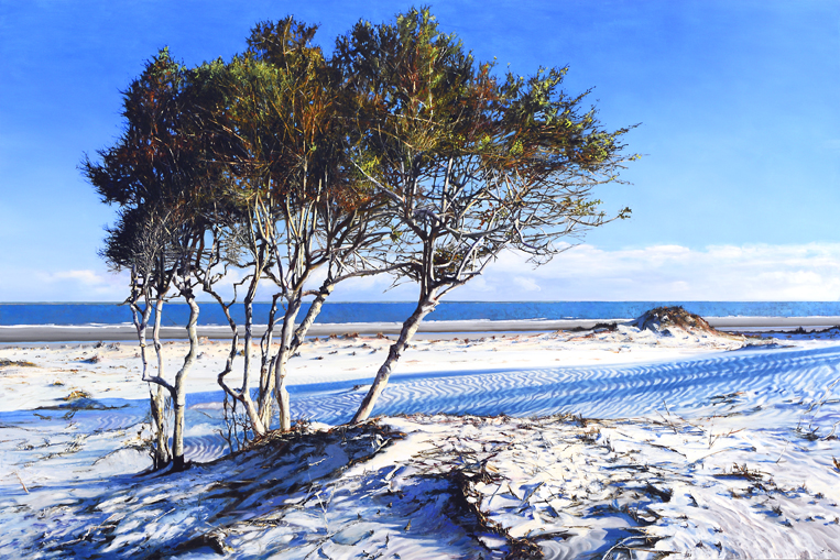 2117 Ossabaw Beach.jpg