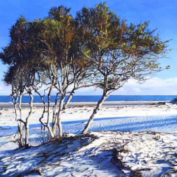 Paintings 2009 - 2019