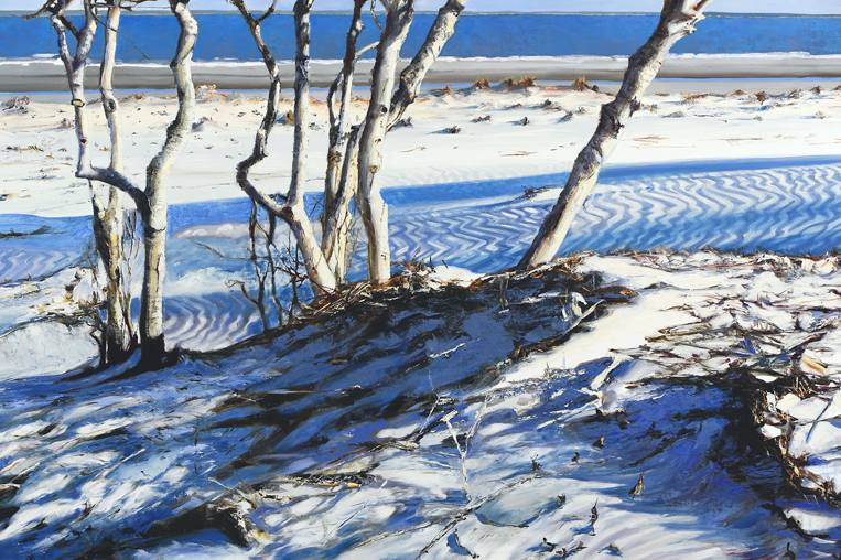 2117dtl-1 Ossabaw Beach.jpg