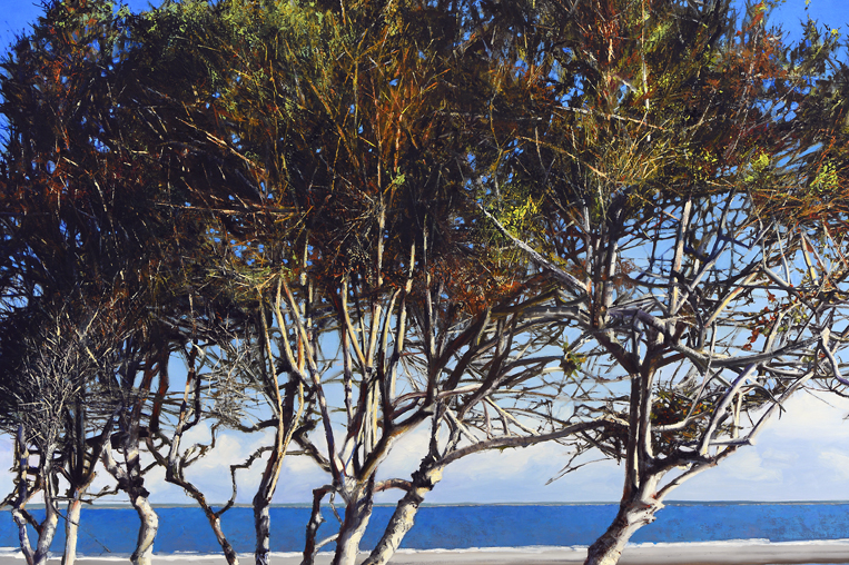 2117dtl-2 Ossabaw Beach.jpg