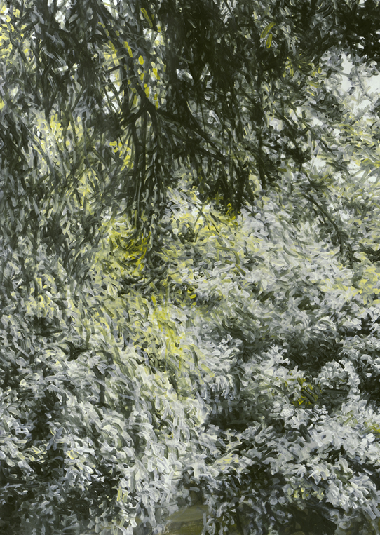 2126 Cherry Blossom Study