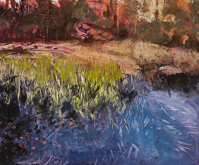 2298 Provinceland Marsh