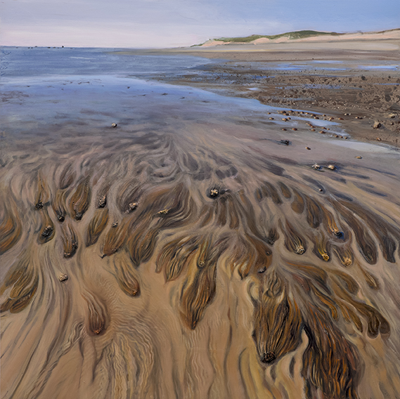 2311 Low Tide Great Island