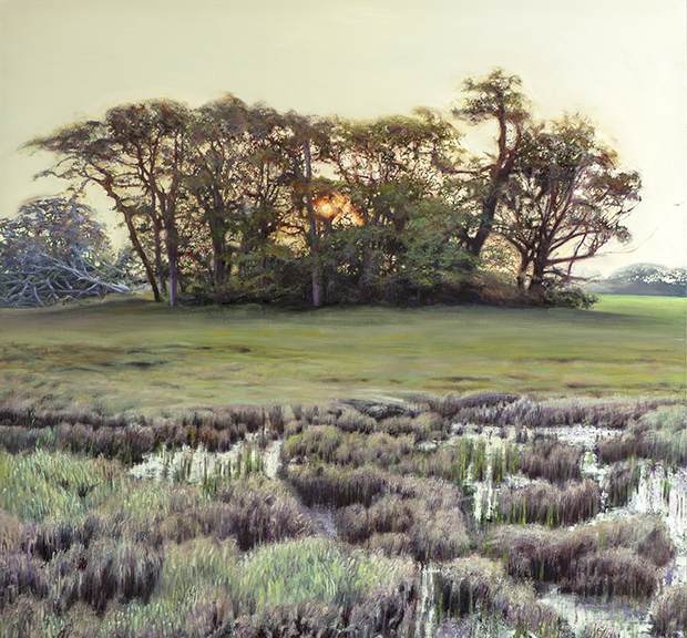 2364 Saltmarsh & Copse