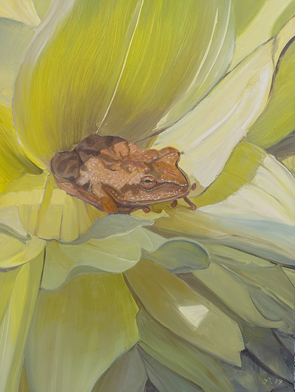 2379 Tree Frog and Dahlia Blossom