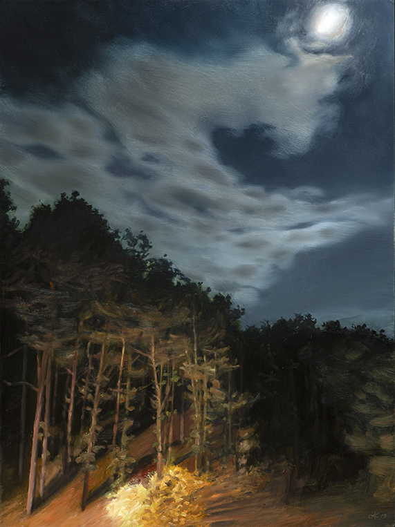 2392 Moonlight & Mouse House Light