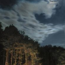 2392 Moonlight & Mouse House Light