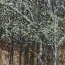 2408 Two Deer in the Forest