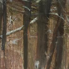 2408dtl Two Deer in the Forest