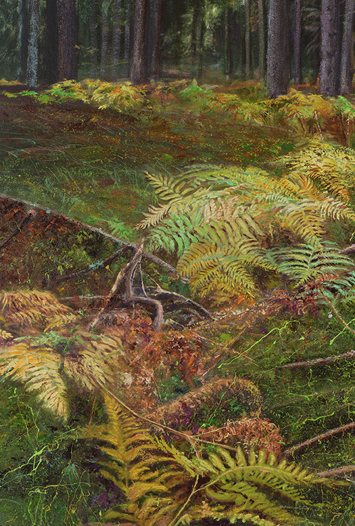 2410dtl-2 Viking Forest