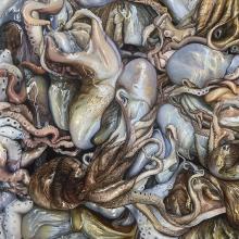 2416 Neopolitan Squids