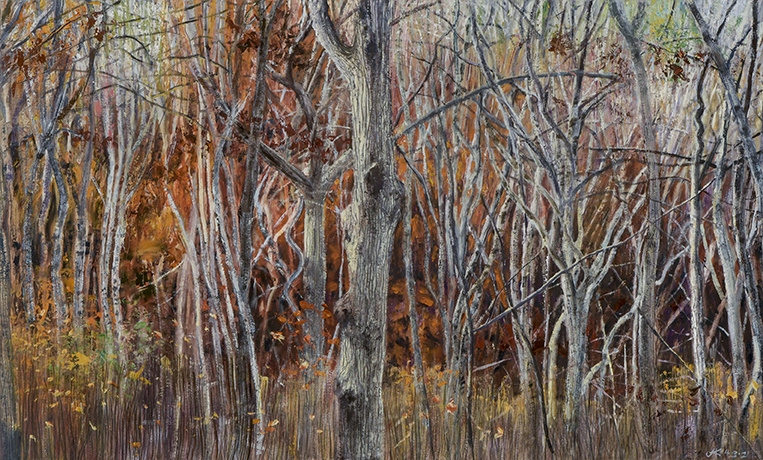 2427 Winter Woods, Ryder Pond Path