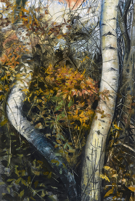 2434 Herring River Birches