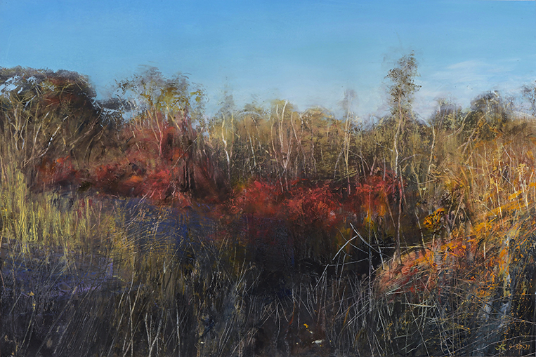 2435 Herring River Estuary