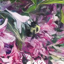 2467 Bumblebee & Weigelia