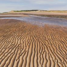 2475 Tidal Flats, Great Island