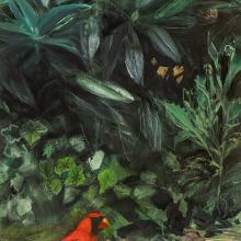 2485 Parent & Fledgling