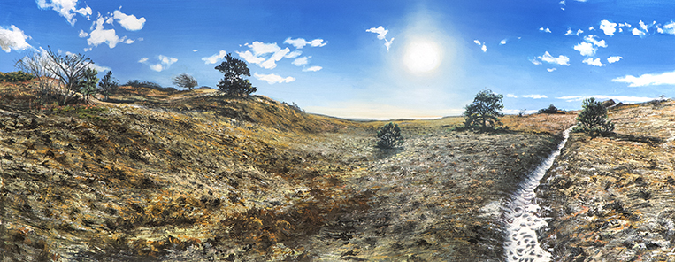 2488 Highlands Panorama