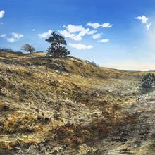 2488 Highlands Panorama