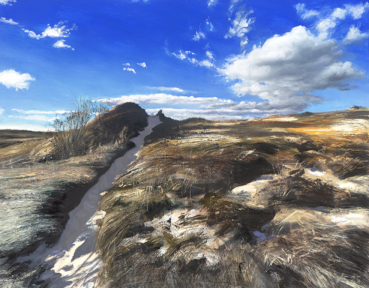 2528 Dunes Behind Fisher Beach