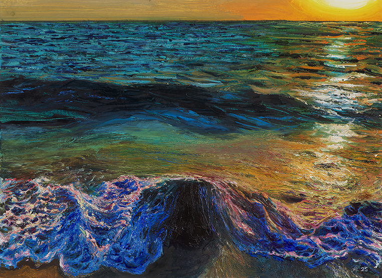 2529 Beach Boulder Draped in Sunset Surf