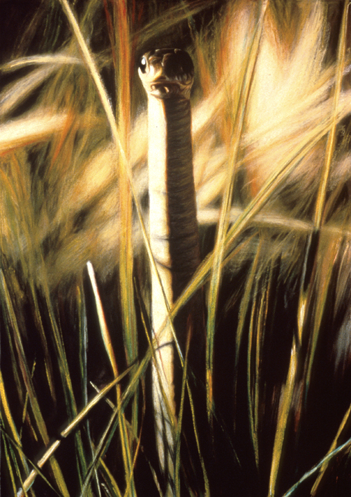 081 Backyard Monarch