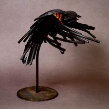 Red-Winged Charbird-1