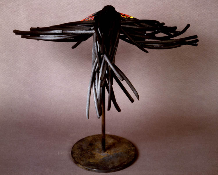 Red-Winged Charbird-4