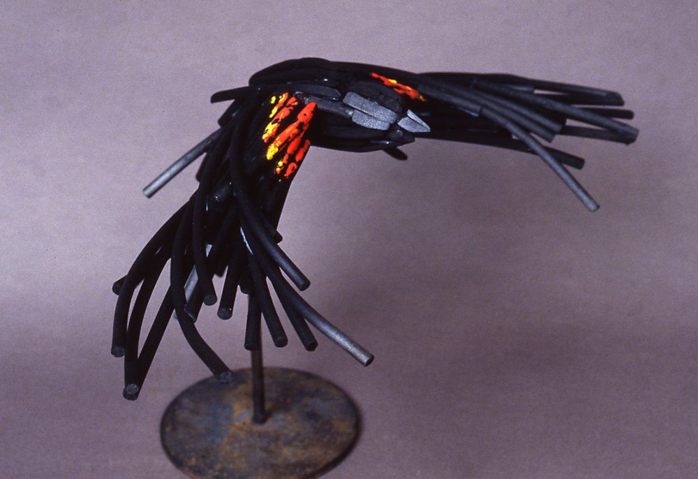 Red-Winged Charbird-2