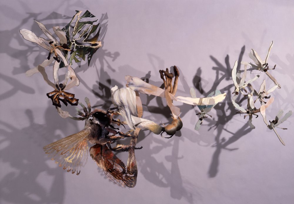 Honeybee and Honeysuckles