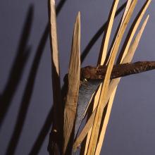 Hunting Heron, detail