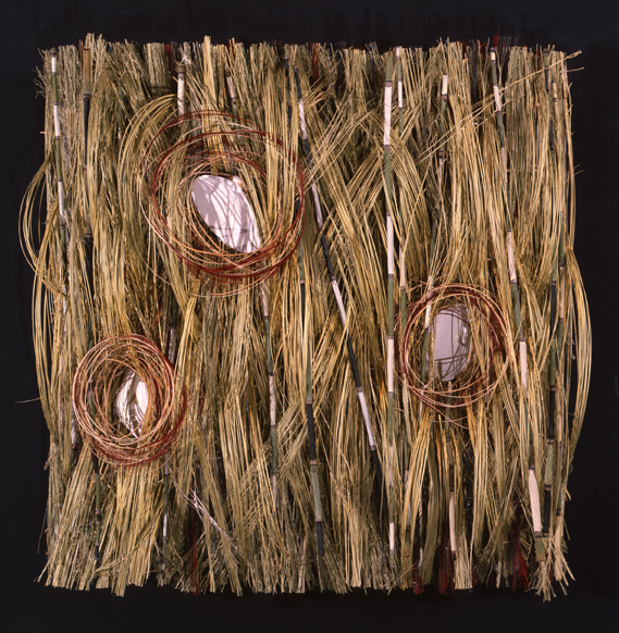 323 Seashore Synergy Gramineagraph