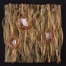 323 Seashore Synergy Gramineagraph