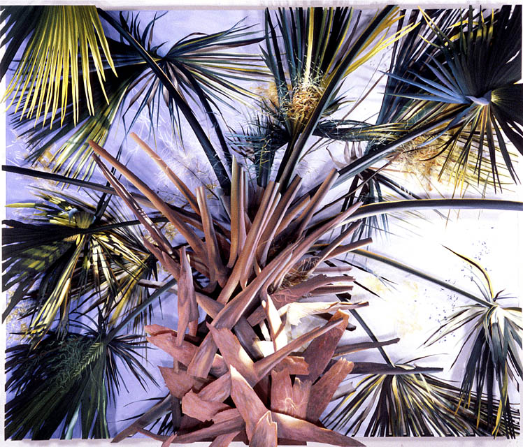 Firecracker Palmetto