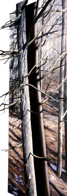 November Woods, side view