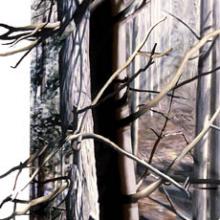 November Woods, side view