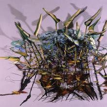 Massed Pickerels and Frog