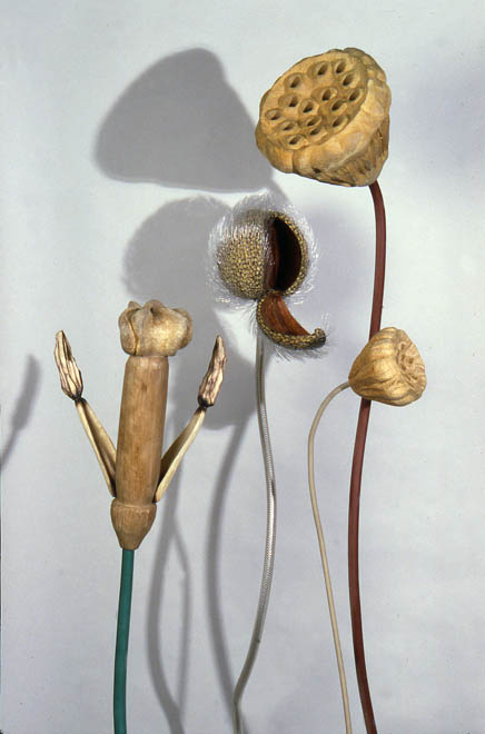 Meadow (unfinished work in progress)