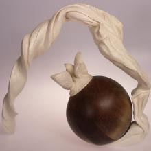 Honeysuckle Pod and Twisting Leaf-1