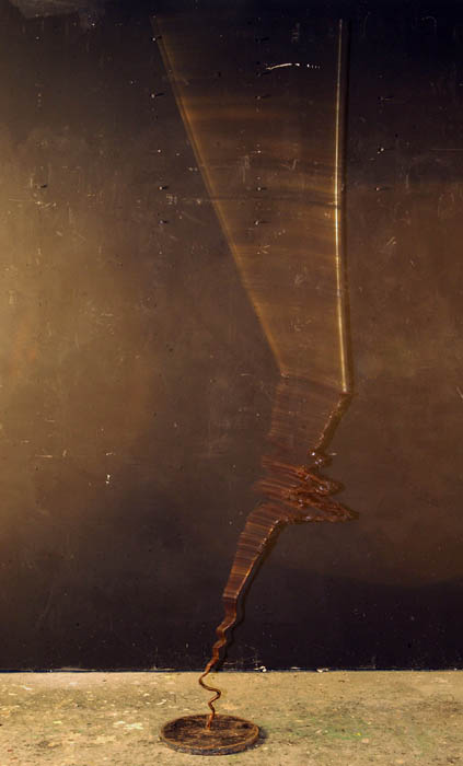 Reed and Its Reflection, in oscillating motion