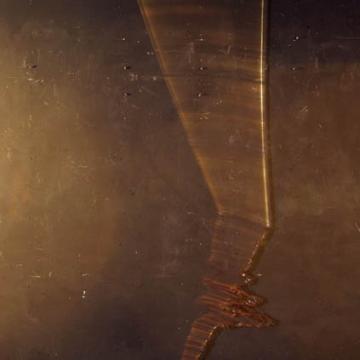 Reed and Its Reflection