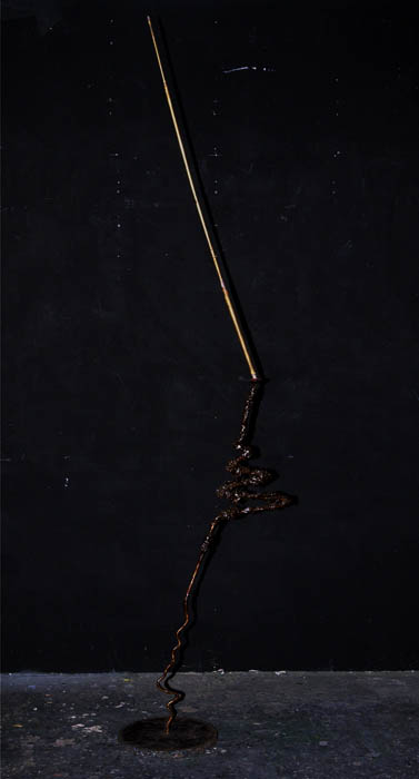 Reed and Its Reflection